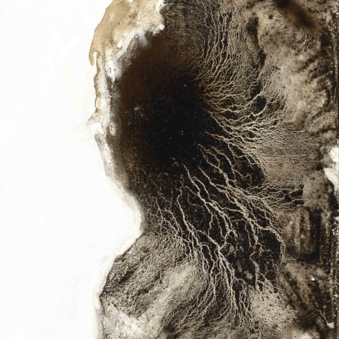 What is the Best NMN? A Comprehensive Guide to Choosing the Right NAD+ Booster for Optimal Health