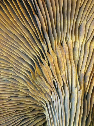 How Can I Take Care of My Scalp?