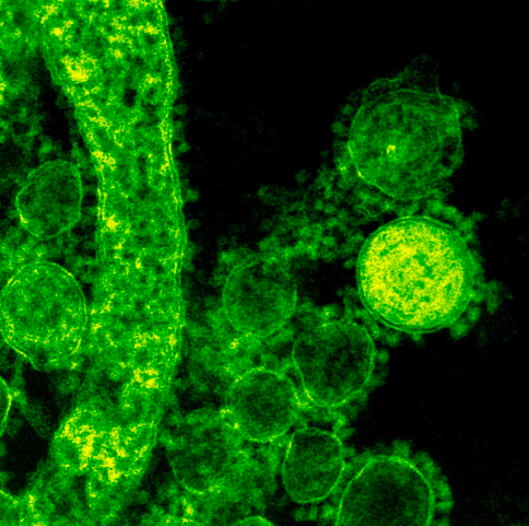 Are Microbiome Tests Accurate?