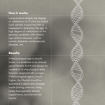 How DNA & Bioage product works and its results on the page.