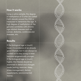 How DNA & Bioage product works and its results on the page.
