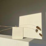 NMN capsule box with plants.