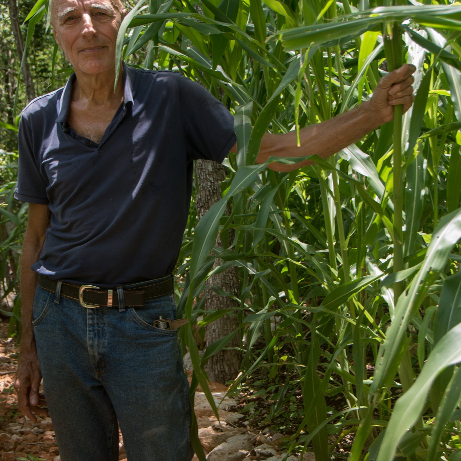 Picture of Dr. Bernd Neugebauer