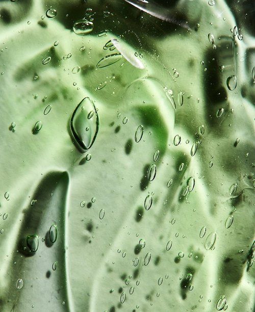 Green leaf with water droplets on a blurred background used in longevity life