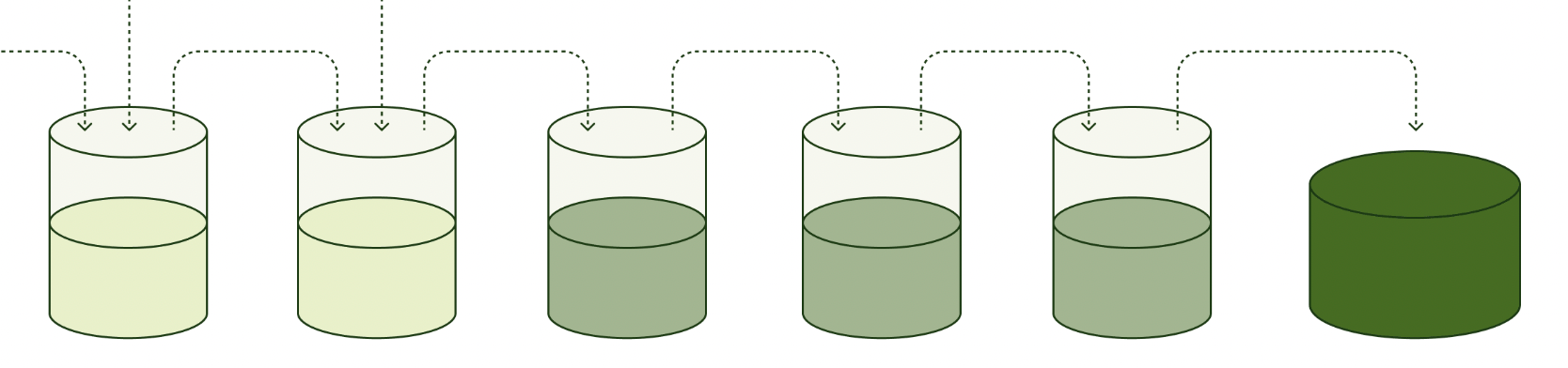 A graphic explaining the process of fermentation.