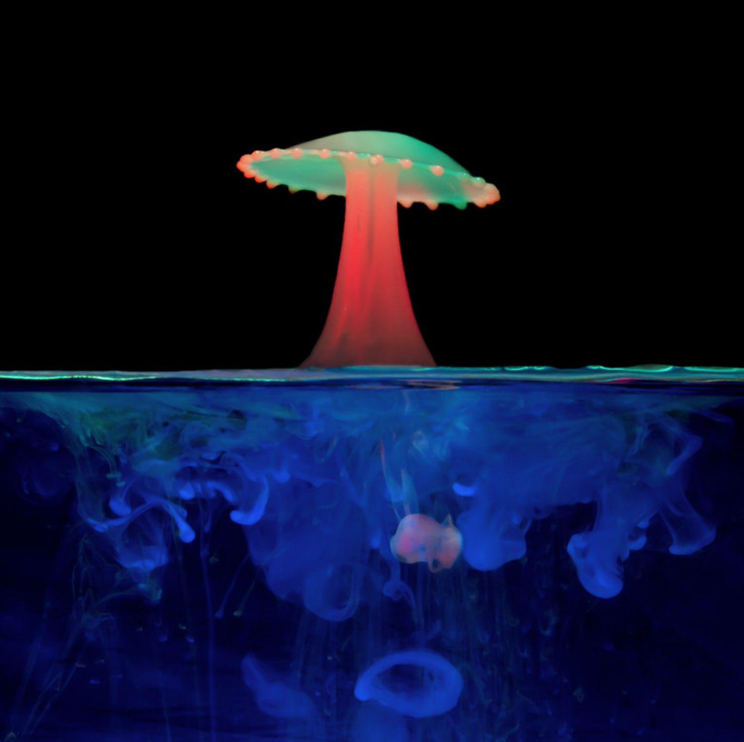 A striking mushroom suspended in water, displaying a spectrum of colors.