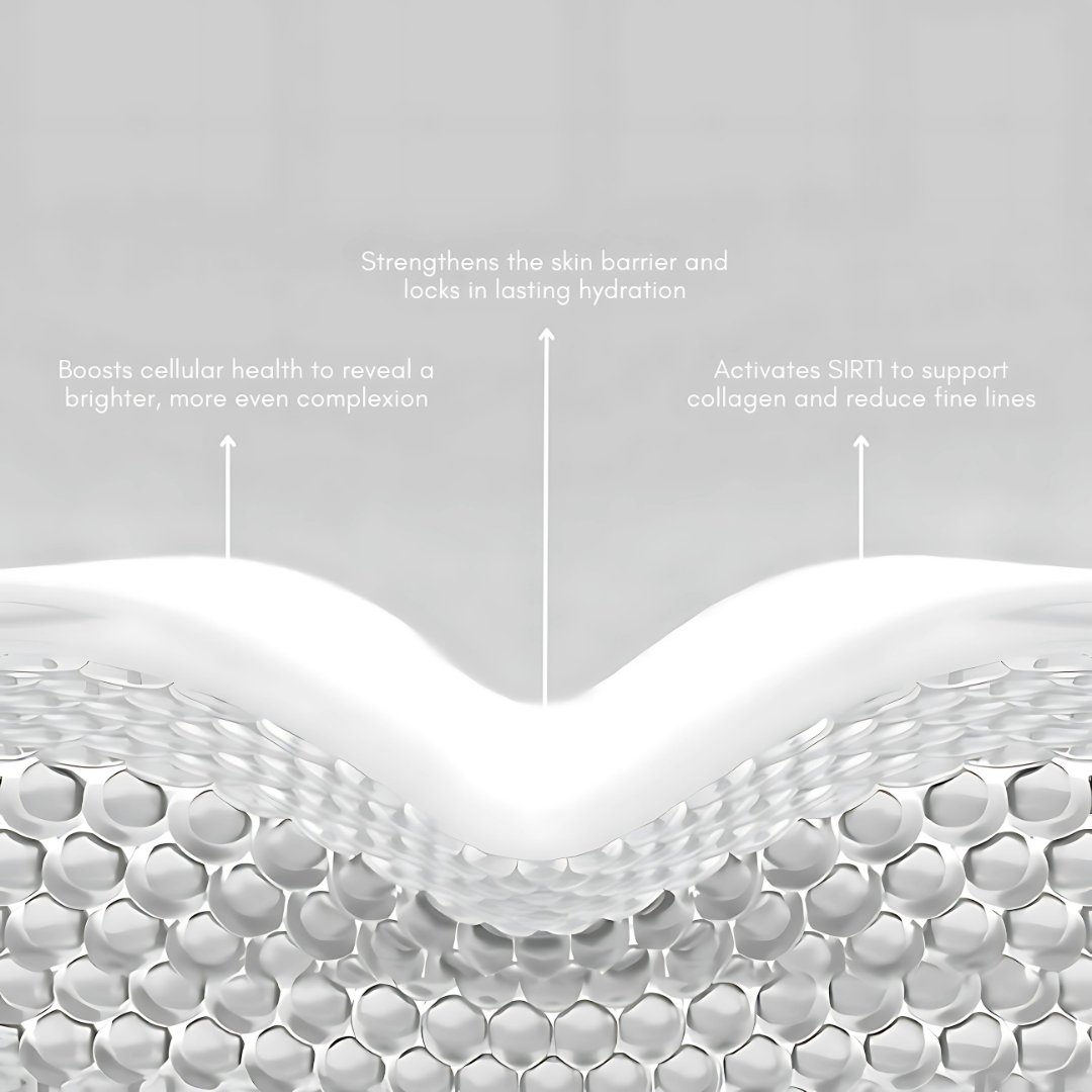Explanation of NMN benefits