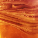 Close-up of a healthy kombucha SCOBY with visible fermentation bubbles.