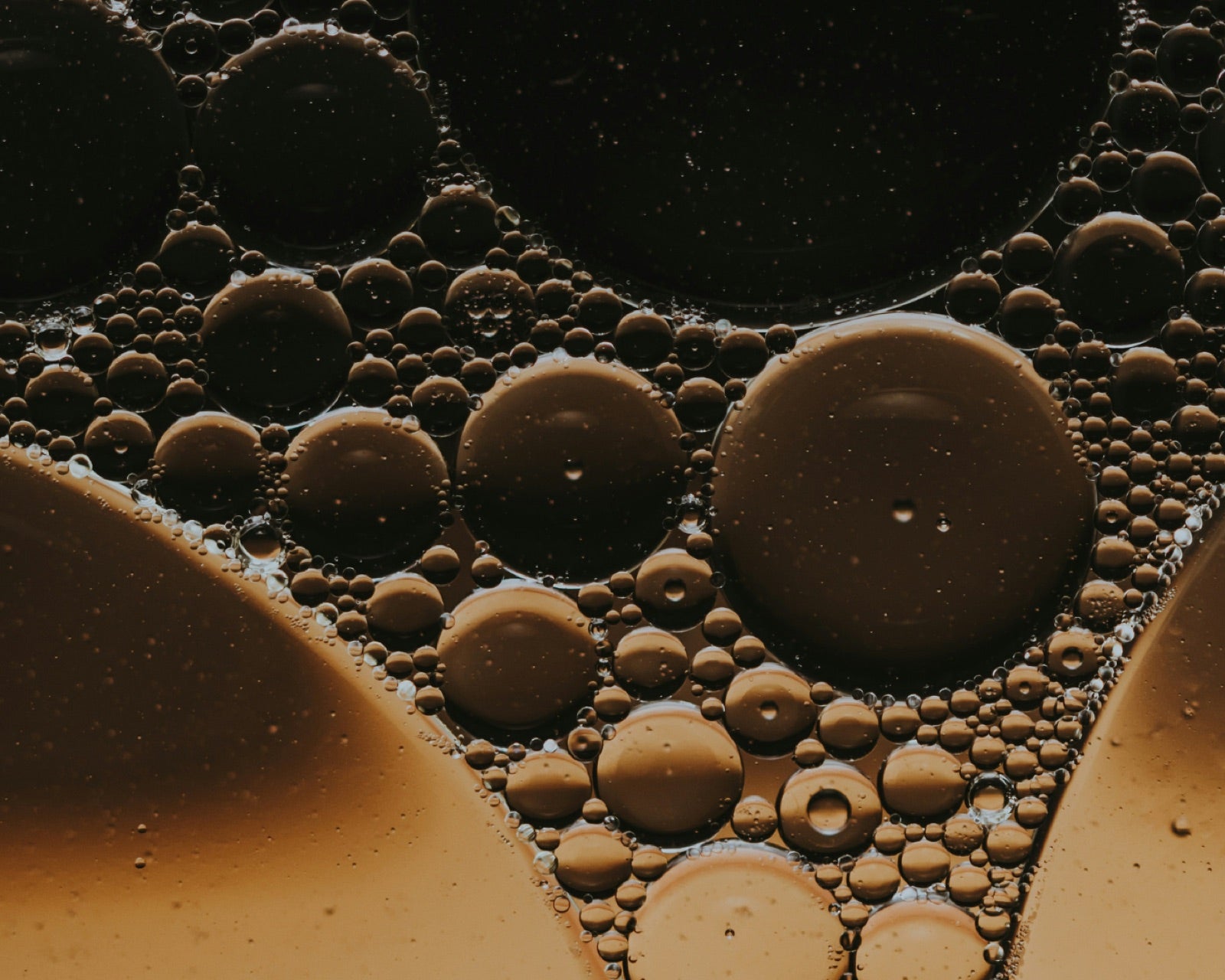 Koffein vs. NMN: Warum du immer wieder zum Kaffee greifst