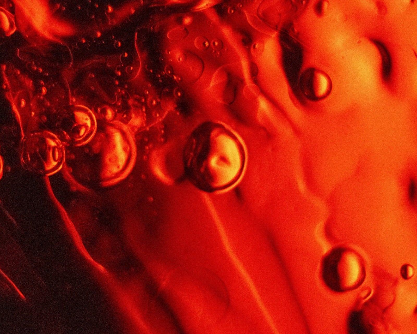 Has the secret of eternal youth finally been unlocked?