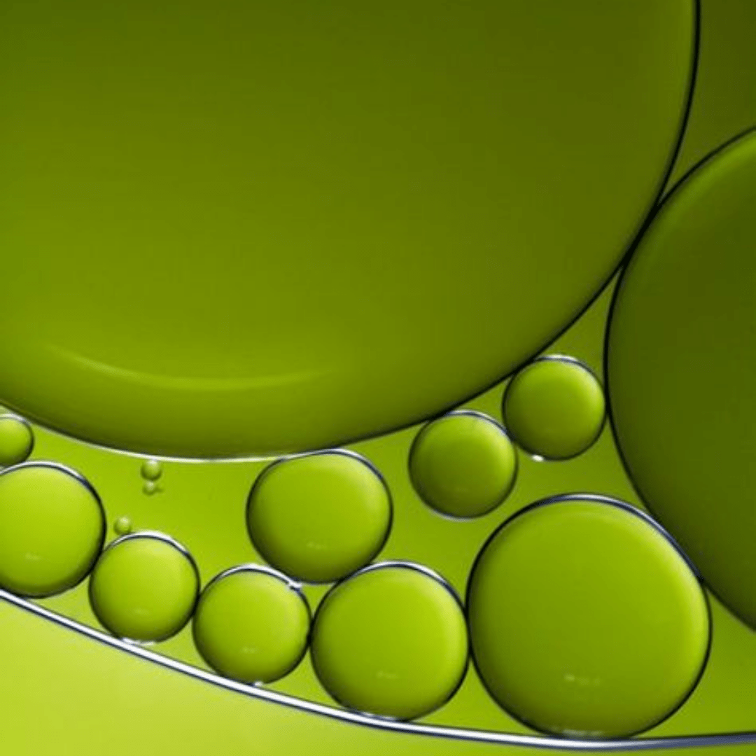 Spherical Secrets of Cell Division