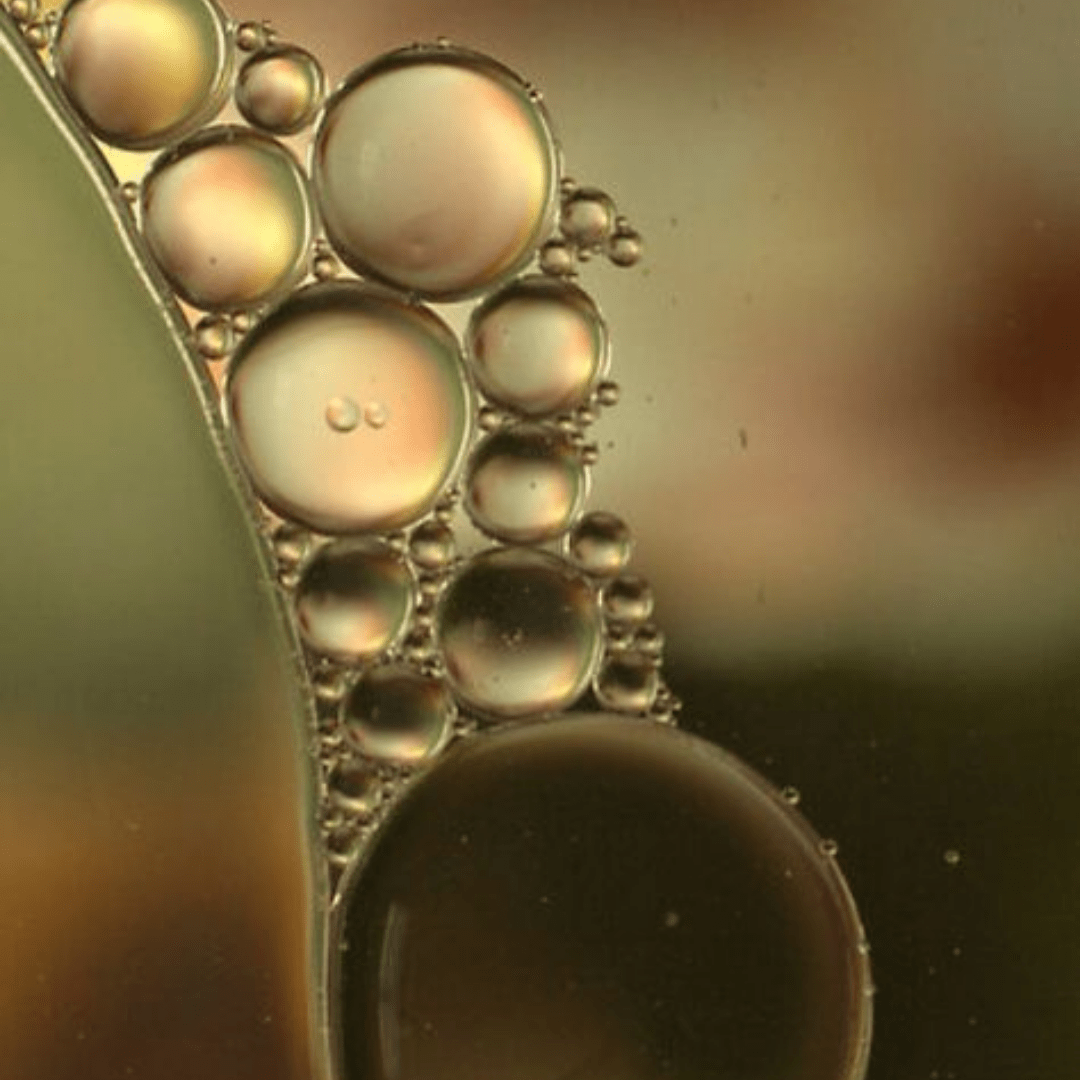 Beyond the plate: The Artist of Nourishment