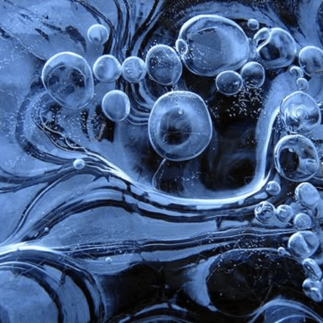 How To Purify Your Cells With Senolytics