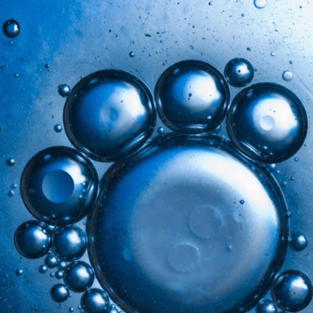 Meet Your Gut Guardians & DNA Defenders of Longevity