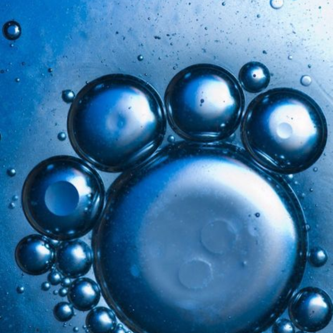 Meet Your Gut Guardians & DNA Defenders of Longevity