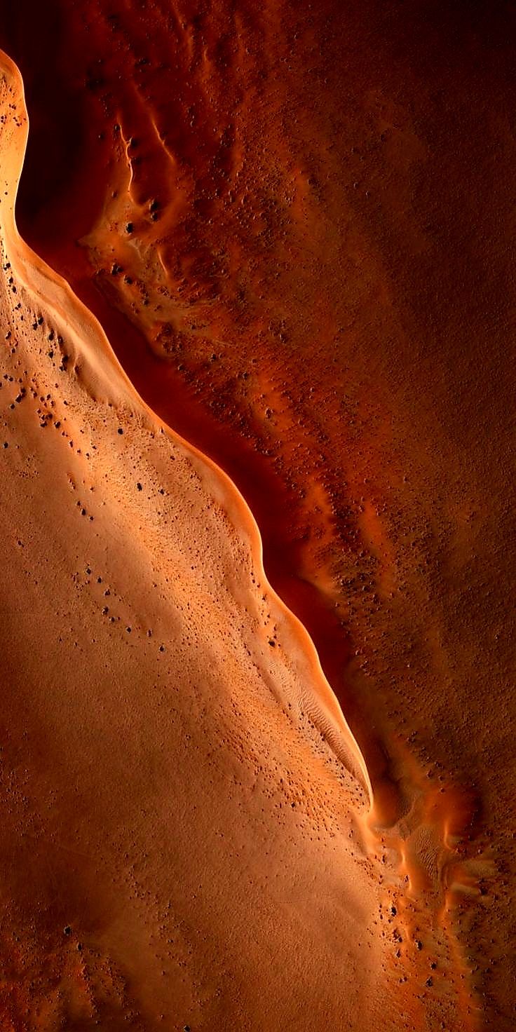 Return to the Miracle of Soil