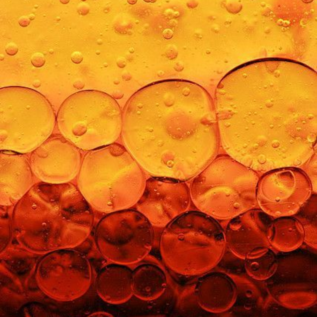 Are Regeneration and Fermentation the Same?