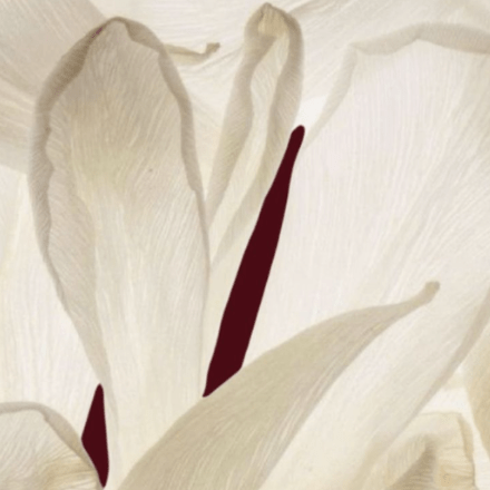 Are Natural Toothpastes Better? Weighing the Evidence