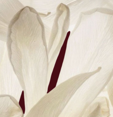 Are Natural Toothpastes Better? Weighing the Evidence