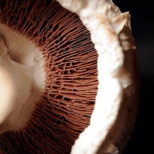 What Hair Loss treatments? The Latest Breakthroughs in Hair Restoration