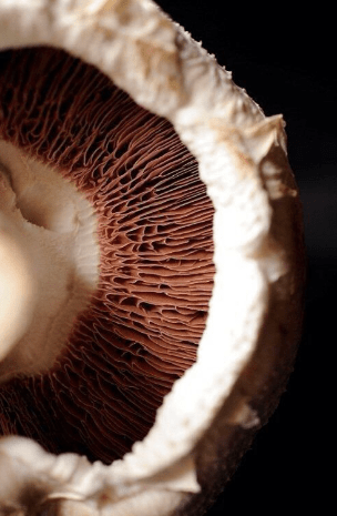 What Hair Loss treatments? The Latest Breakthroughs in Hair Restoration