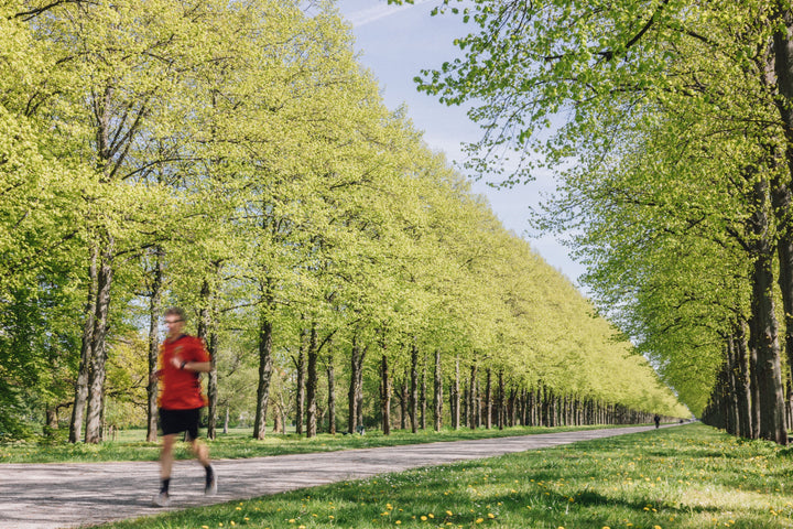 Mann im roten Shirt joggt durch eine grüne Allee im Frühling, Sinnbild für Gesundheit als langfristige Investition