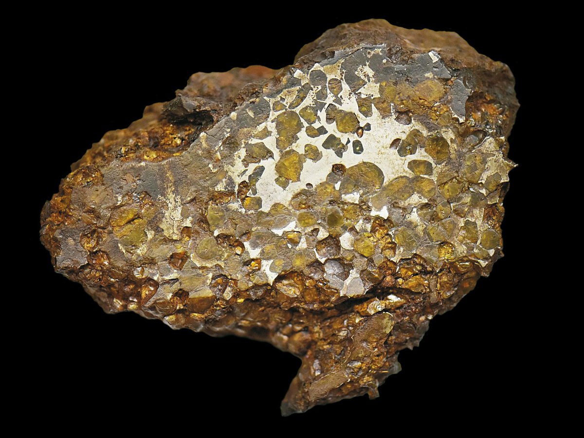 From Stardust to Cells: How Ancient Rainforest Minerals Power Life