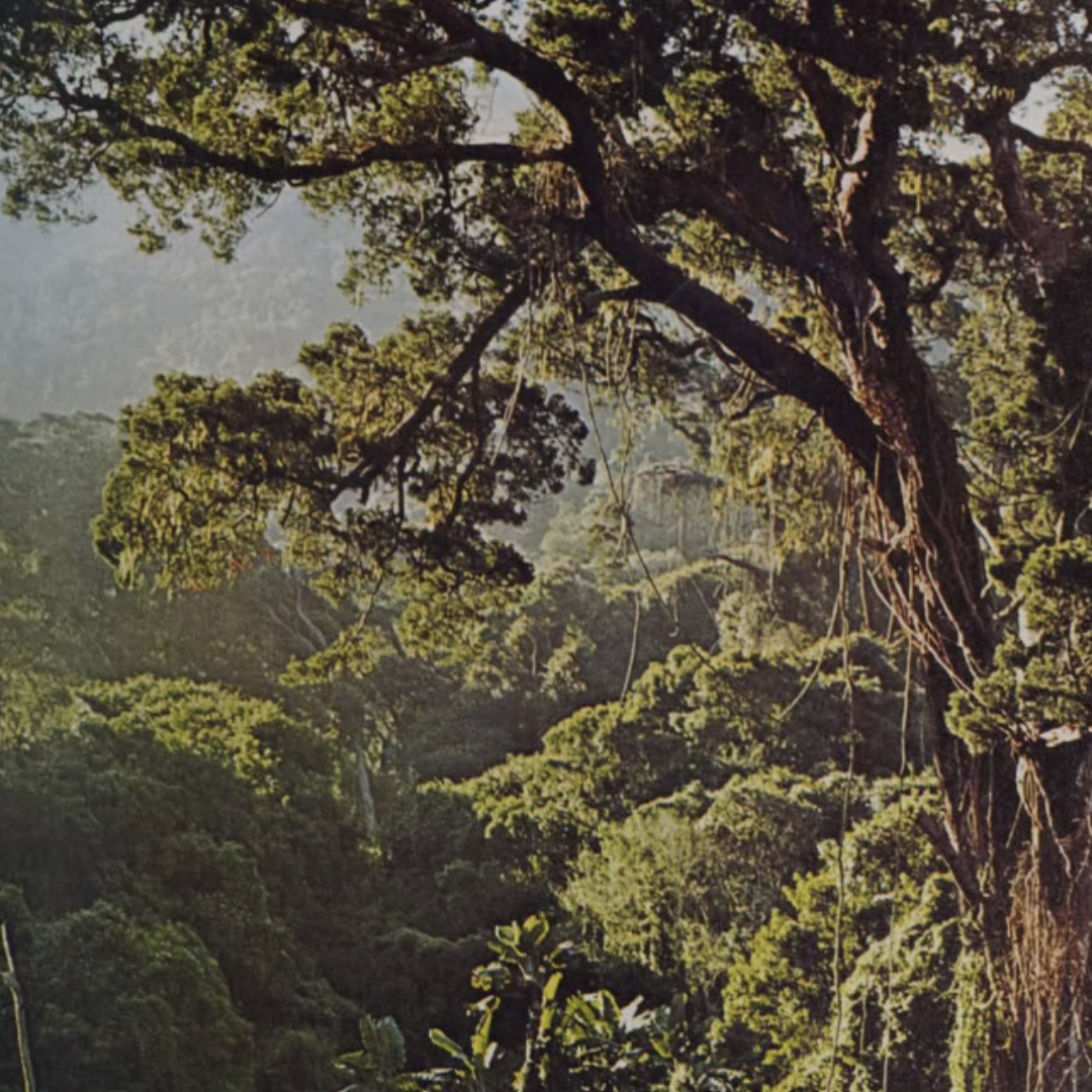 Why should we start our LongevityLife experience now?