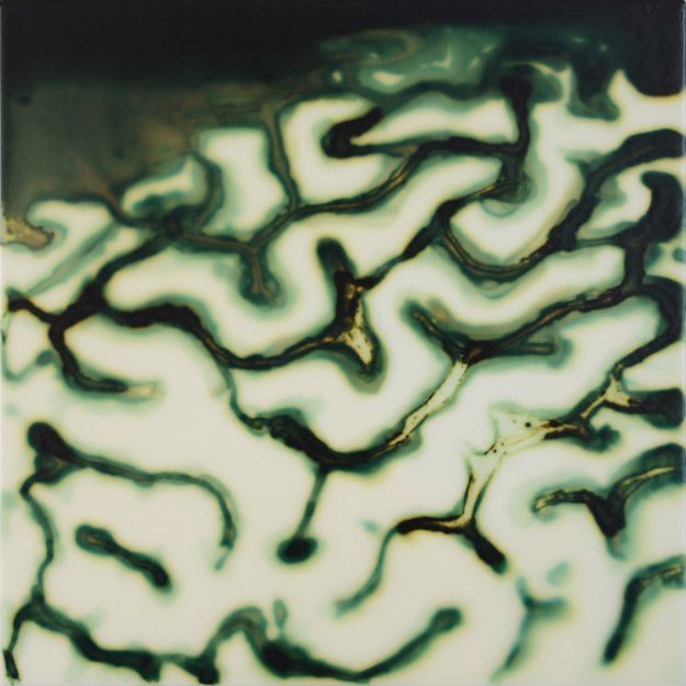 Part I Neuroplasticity & Aging