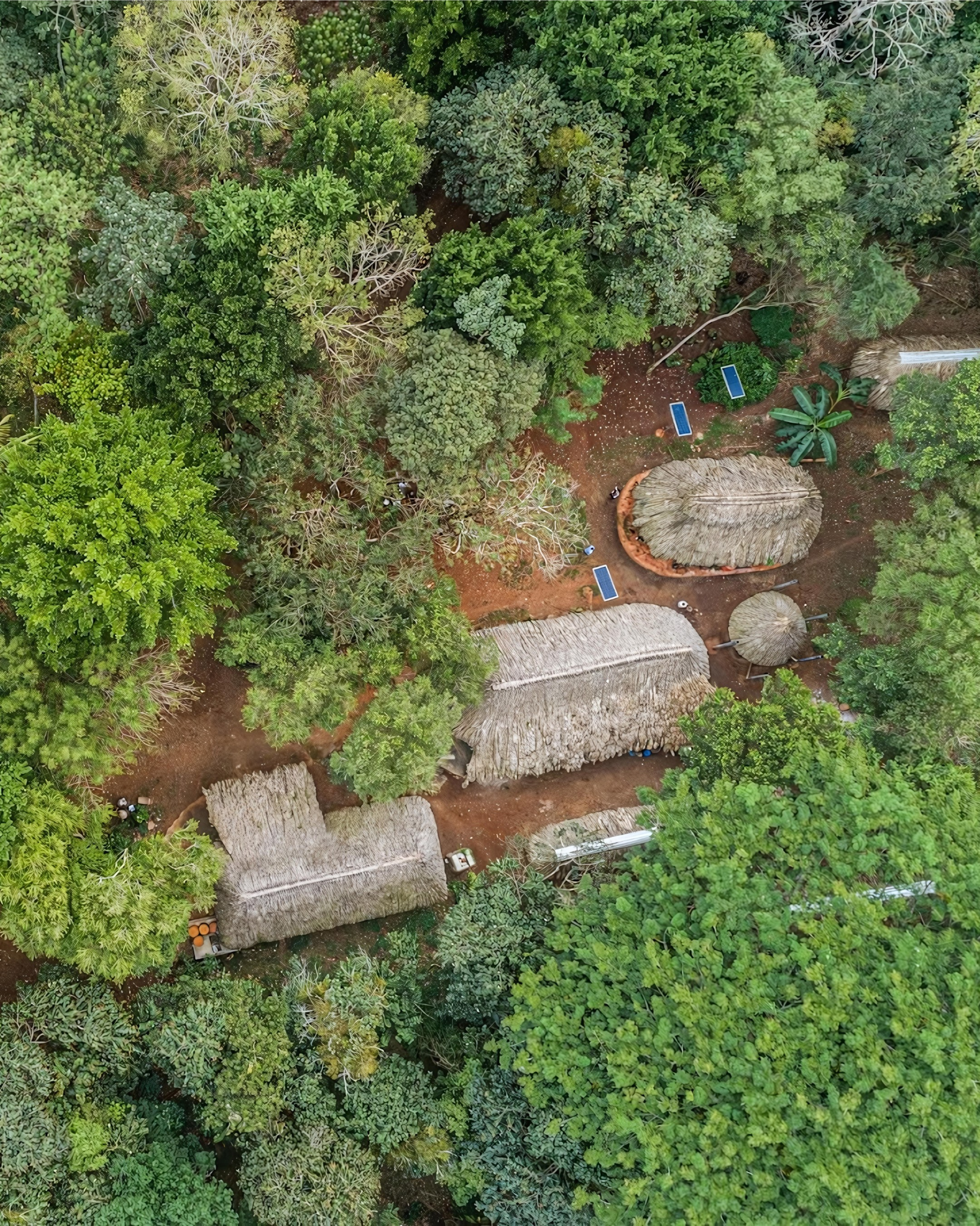 Aerial view of a forest with rustic huts surrounded by dense greenery