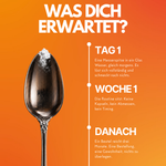 Messerspitze NMN Pulver auf einem Löffel, daneben eine Zeitleiste über Tag 1, Woche 1 und danach