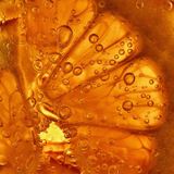 Close-up of orange juice containing air bubbles.