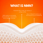 Graphic explaining what NMN is, how it dissolves in water and where the raw material comes from