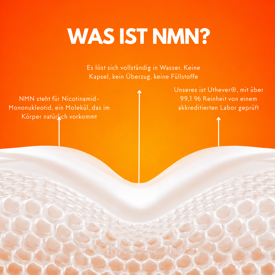 Grafik mit Erklärung, was NMN ist, wie es sich in Wasser löst und woher der Rohstoff stammt