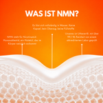 Grafik mit Erklärung, was NMN ist, wie es sich in Wasser löst und woher der Rohstoff stammt