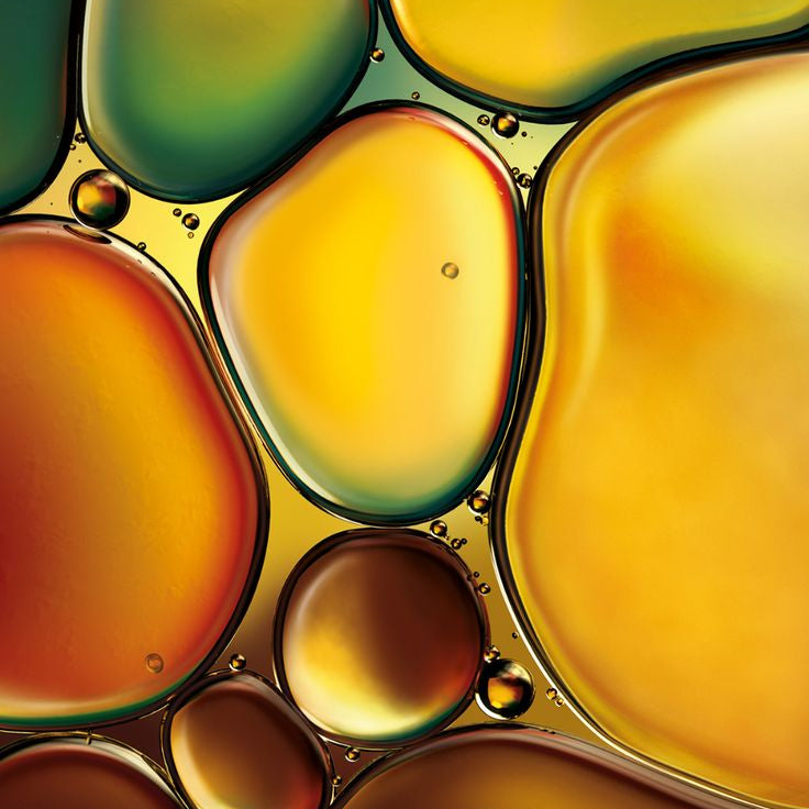 Colorful oil and water bubbles in a close-up shot