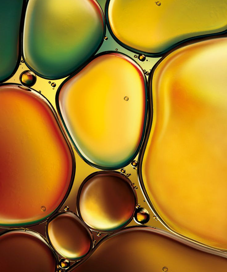 Colorful oil and water bubbles in a close-up shot