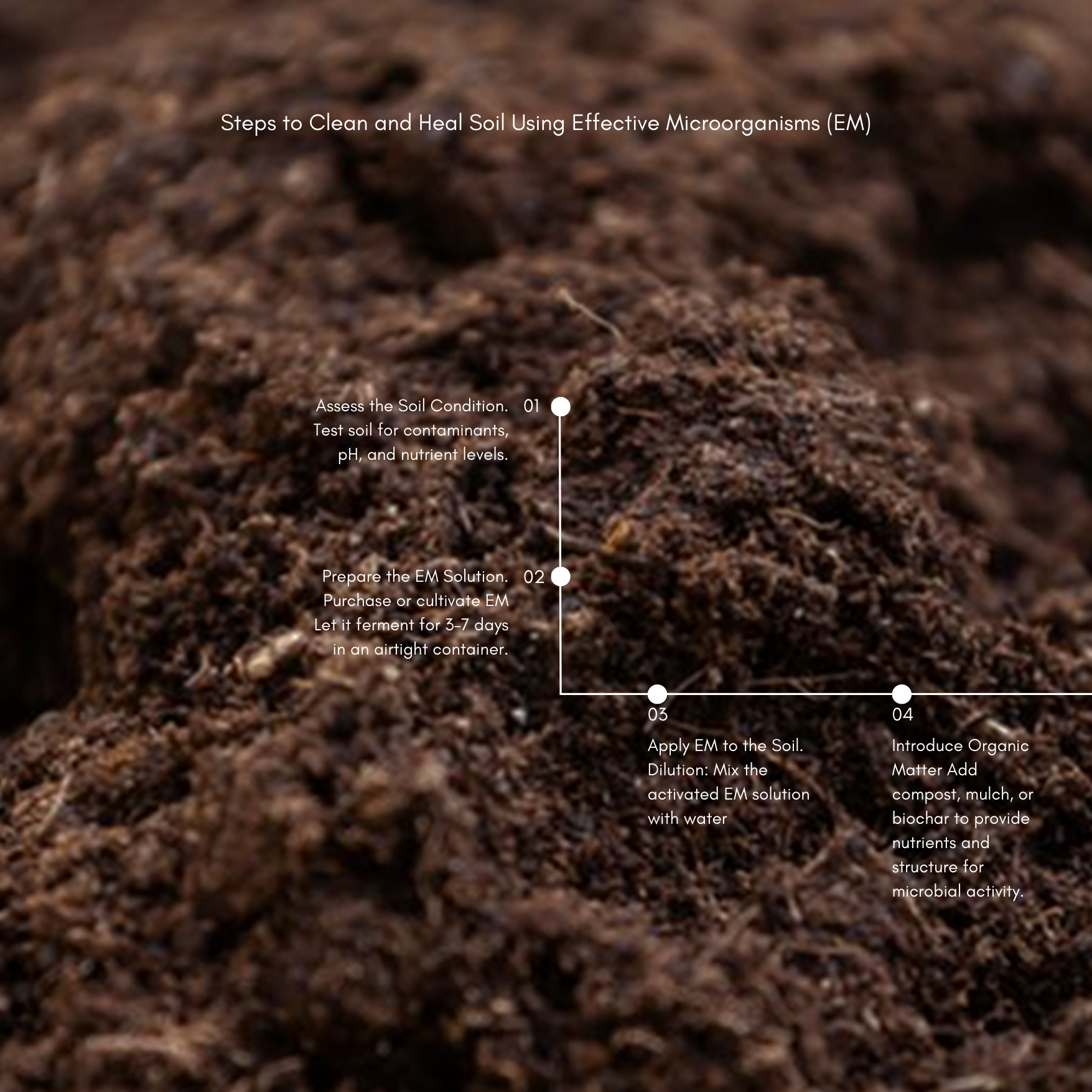 Close up of soil 