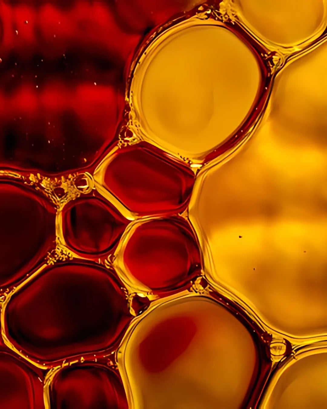 A clear glass filled with oil and water, showcasing colorful red and yellow bubbles suspended in the mixture.