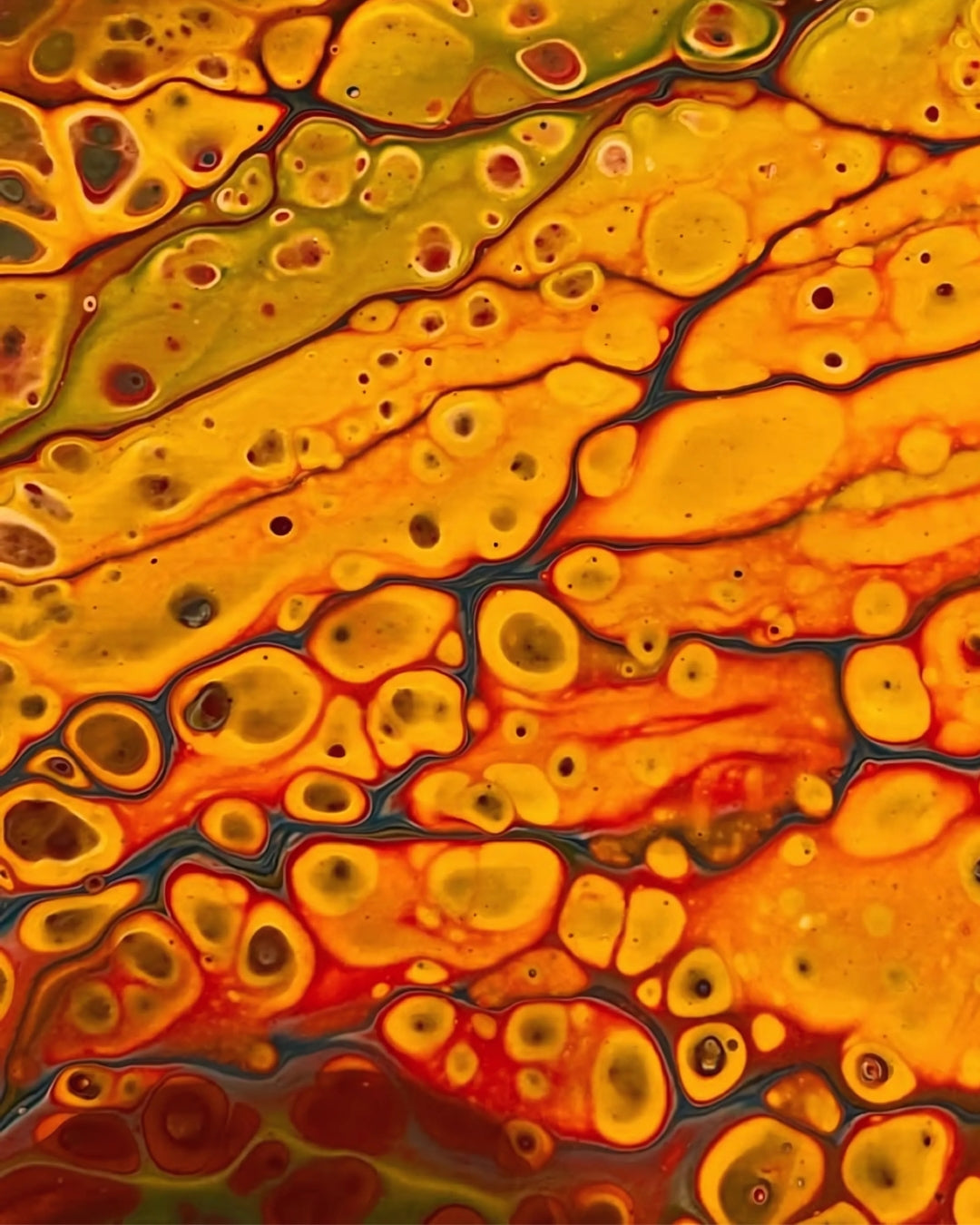 Energetic oils showcasing bold colours and layered textures, inviting interpretation and reflection.