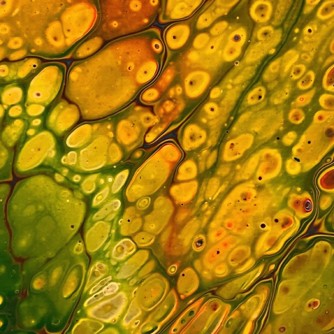 A close-up of a rich array of colors and fluid forms, creating a lively visual experience.