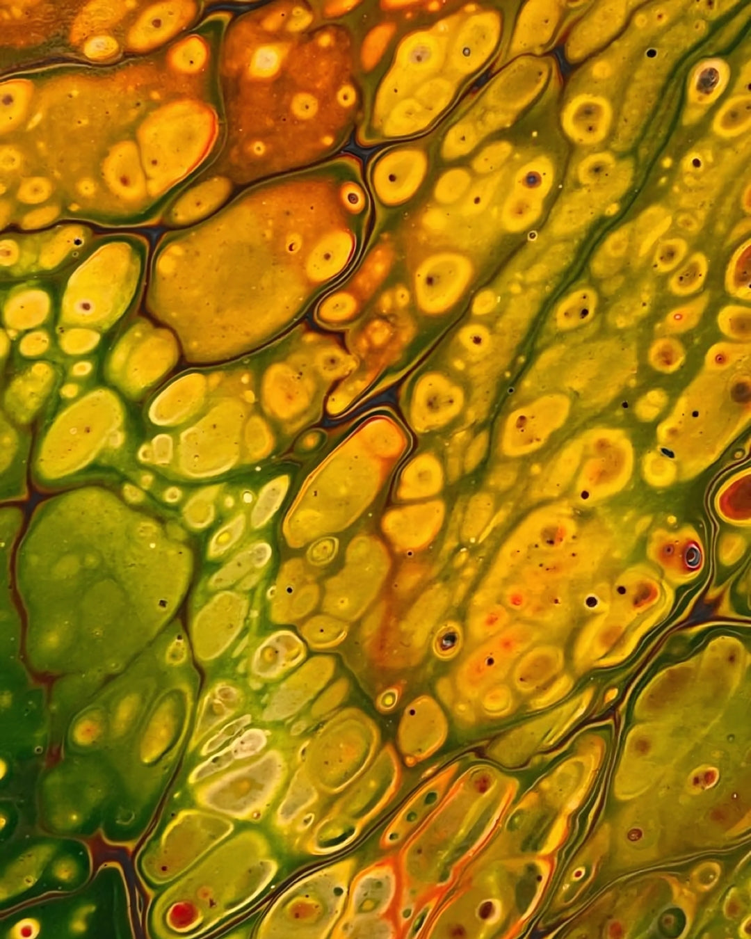 A close-up of a rich array of colors and fluid forms, creating a lively visual experience.