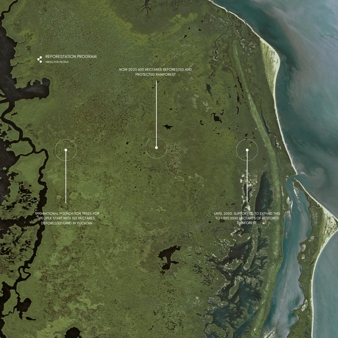 Satellite image depicting the marsh's location alongside surrounding water bodies.
