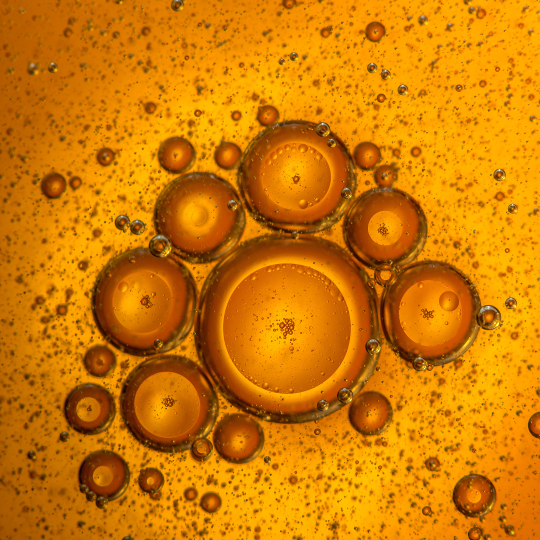Oil and water bubbles on a yellow background