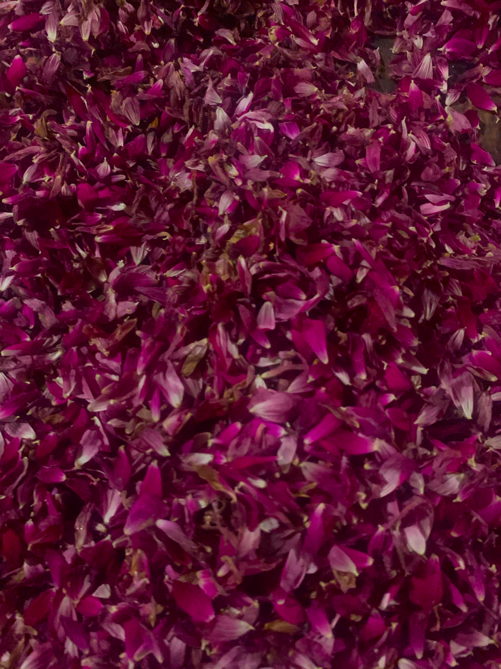 A collection of pink flower petals arranged on a table, showcasing their gentle hues and natural beauty.