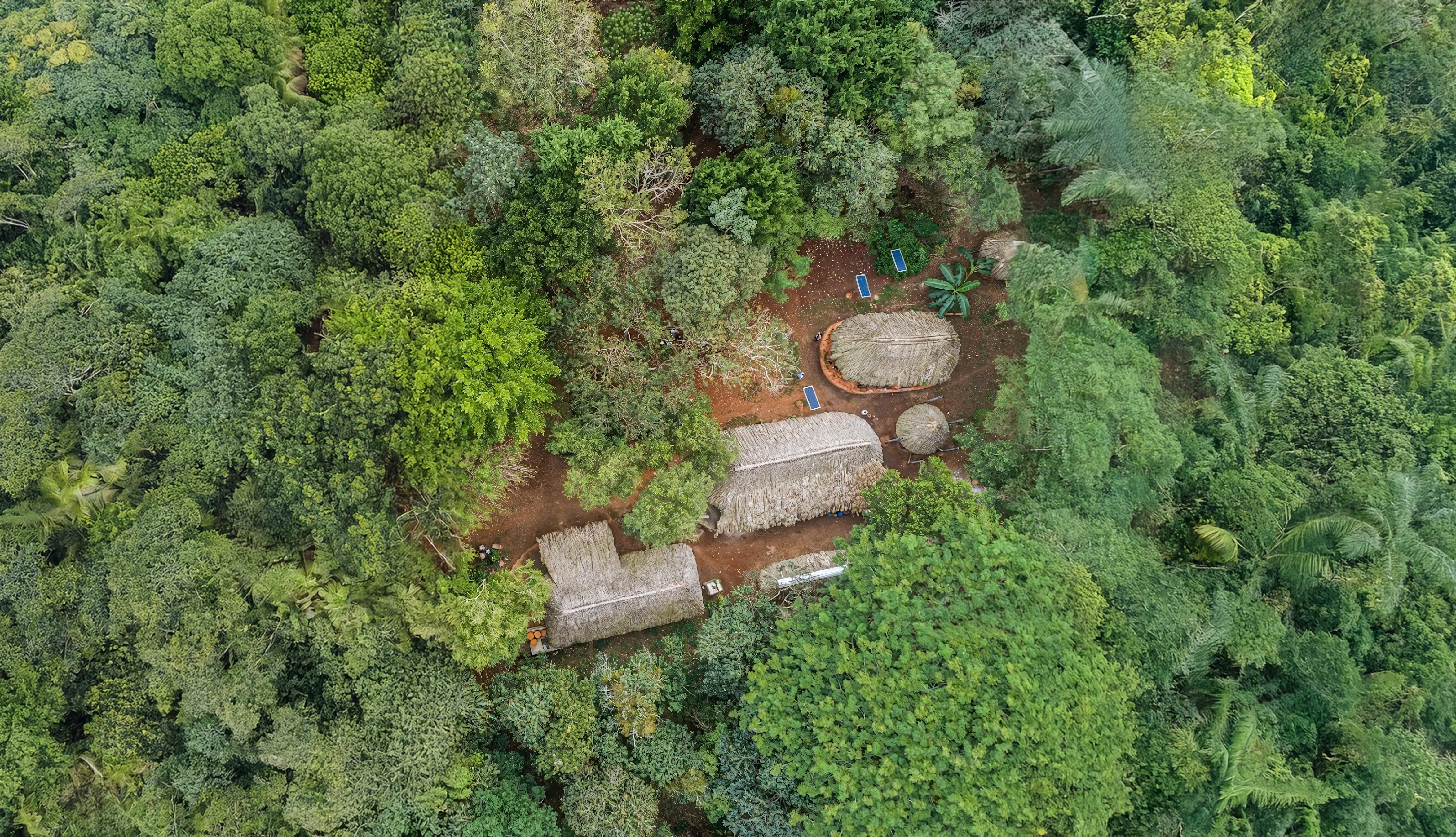 Overhead perspective of a quaint village in the jungle, with houses peeking through the vibrant foliage.
