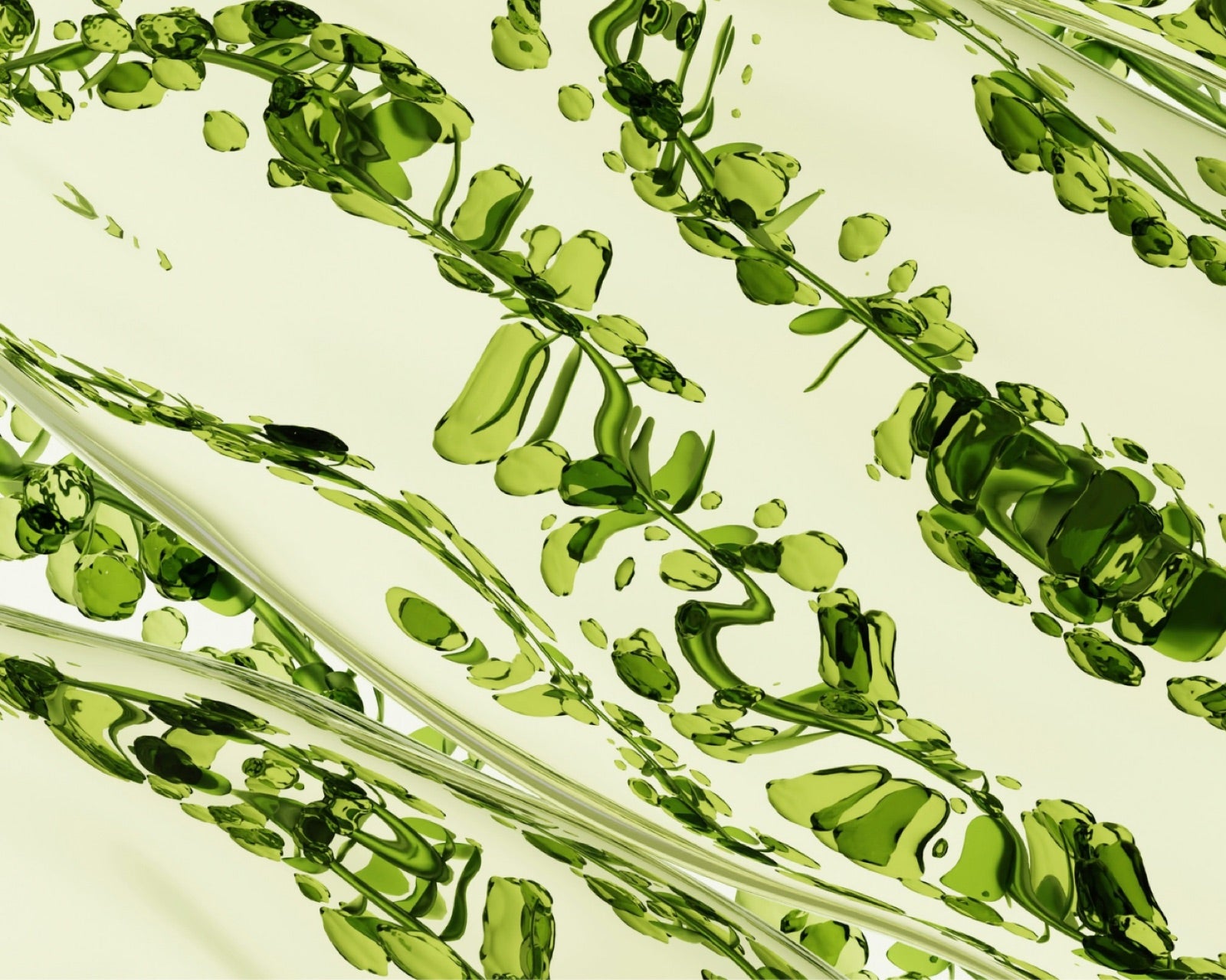 NMN and Skin Health: What the Science Really Says
